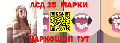 стафф Донецк