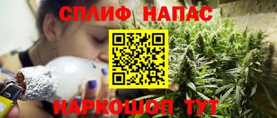 стафф Донецк